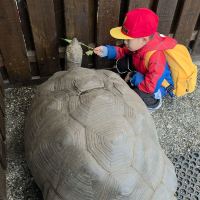 評論圖片 3