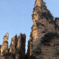 評論圖片 4