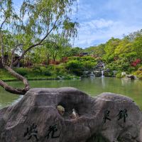 評論圖片 5