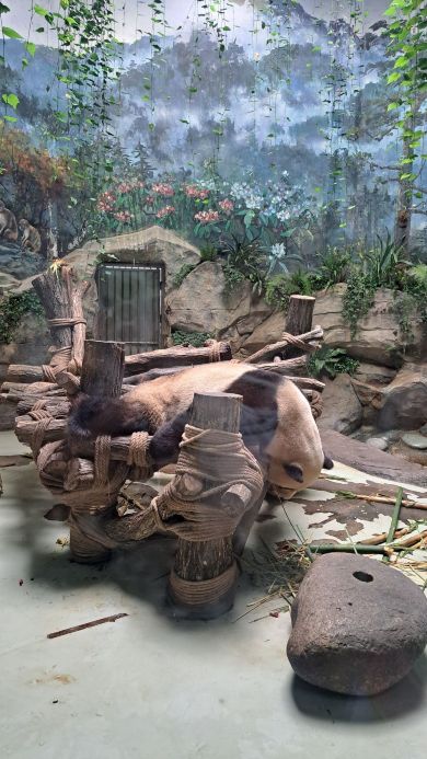 Panda Valley Tickets [2026] - Promos, Prices, Reviews & Opening