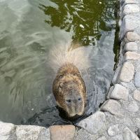 評論圖片 5