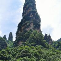 評論圖片 1