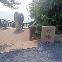 評論圖片 6