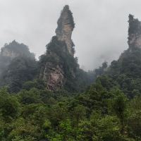 評論圖片 5