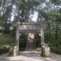 評論圖片 3