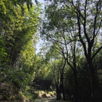 評論圖片 2