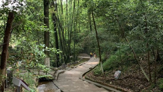 很棒的景區，丹霞山體配綠色森林，本身已經很美了，再加上號稱江