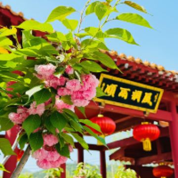 評論圖片 2
