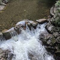 評論圖片 1