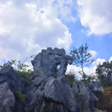 評論圖片 4