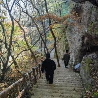 評論圖片 1