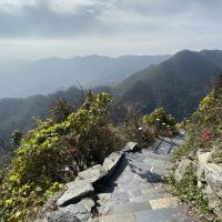 評論圖片 9