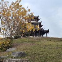 評論圖片 6