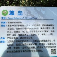 評論圖片 9