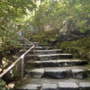 評論圖片 2
