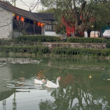 評論圖片 6