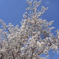 評論圖片 5