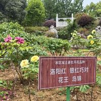 評論圖片 3