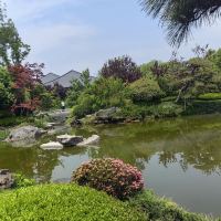 評論圖片 1