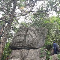 評論圖片 7
