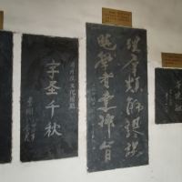 評論圖片 9