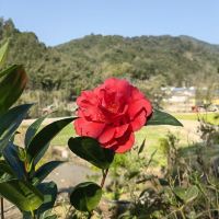 評論圖片 2
