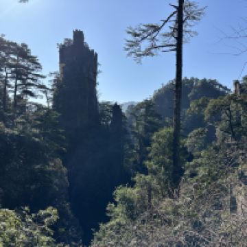 評論圖片 7
