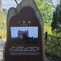 評論圖片 3