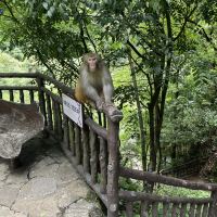 評論圖片 4