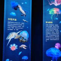 評論圖片 2