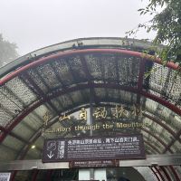 評論圖片 4
