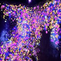 評論圖片 8