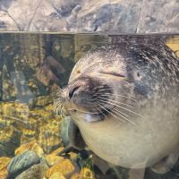 評論圖片 4