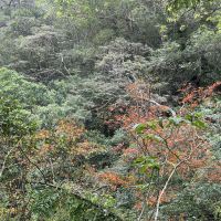 評論圖片 6
