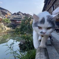 評論圖片 7