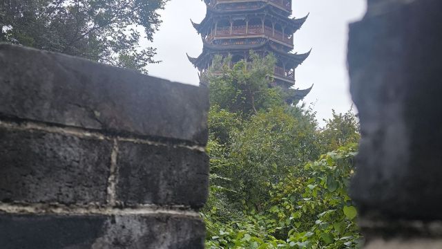 review picture