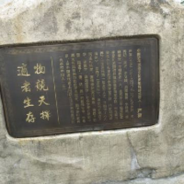 評論圖片 1