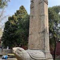 評論圖片 2