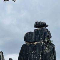 評論圖片 4