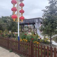 評論圖片 4