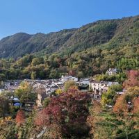 評論圖片 1