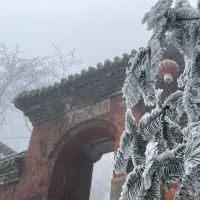 評論圖片 1