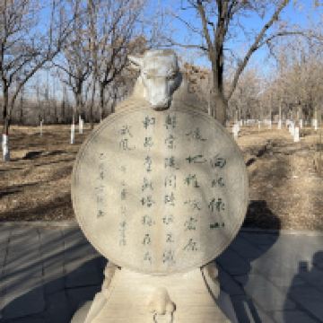評論圖片 5