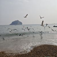 評論圖片 5