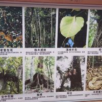 評論圖片 8