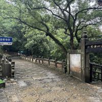 評論圖片 2