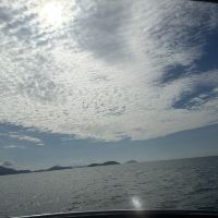評論圖片 4