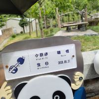 評論圖片 3