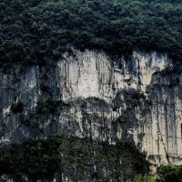 評論圖片 5