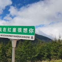 評論圖片 5